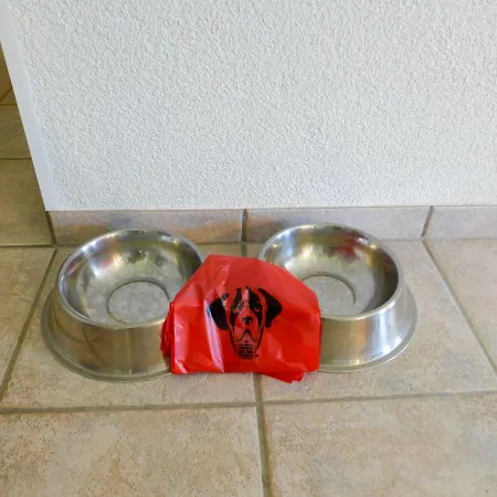 Belmi By Interhome * Zweisimmen